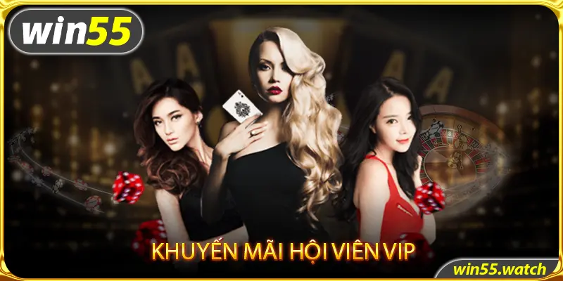 Phần thưởng giá trị trong chương trình khuyến mãi Win55 hội viên VIP