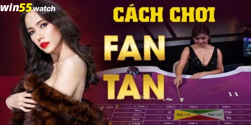 Hướng dẫn cách chơi Fan tan chi tiết nhất