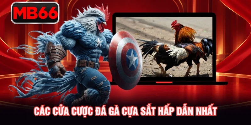 Các cửa cược đá gà cựa sắt hấp dẫn nhất Các cửa cược đá gà cựa sắt hấp dẫn nhất