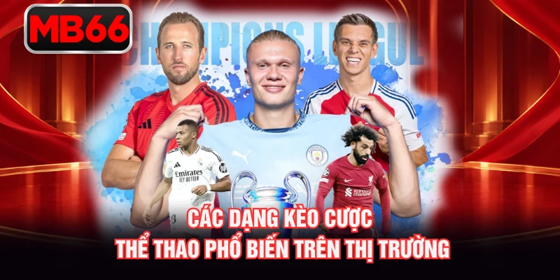 Các dạng kèo cược thể thao phổ biến trên thị trường Các dạng kèo cược thể thao phổ biến trên thị trường