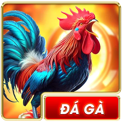 đá gà đá gà