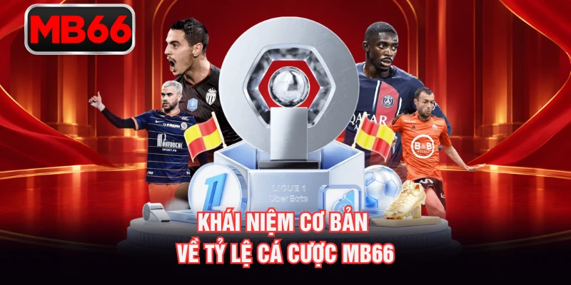 Khái niệm cơ bản về tỷ lệ cá cược MB66 Khái niệm cơ bản về tỷ lệ cá cược MB66
